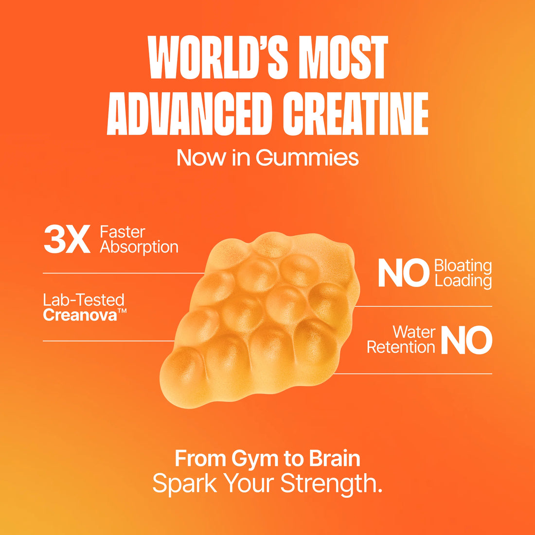 Creatine Mono Gummies