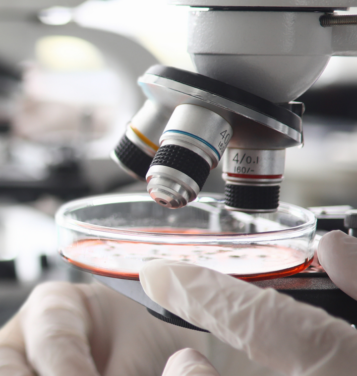 Lab Testing